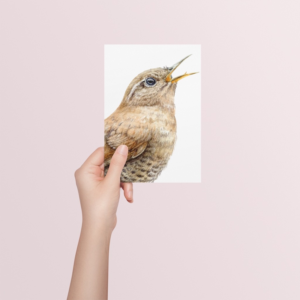 Watercolor Wall Art Wren Bird Illustration Print Poster Unframed - Picture 7 of 9